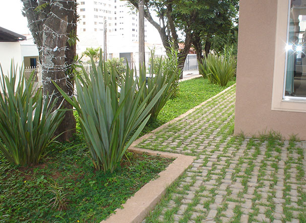Imagem Piso Duplo T 2